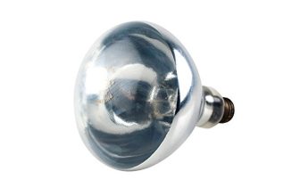 Bathroom Heat Lamp Bulb