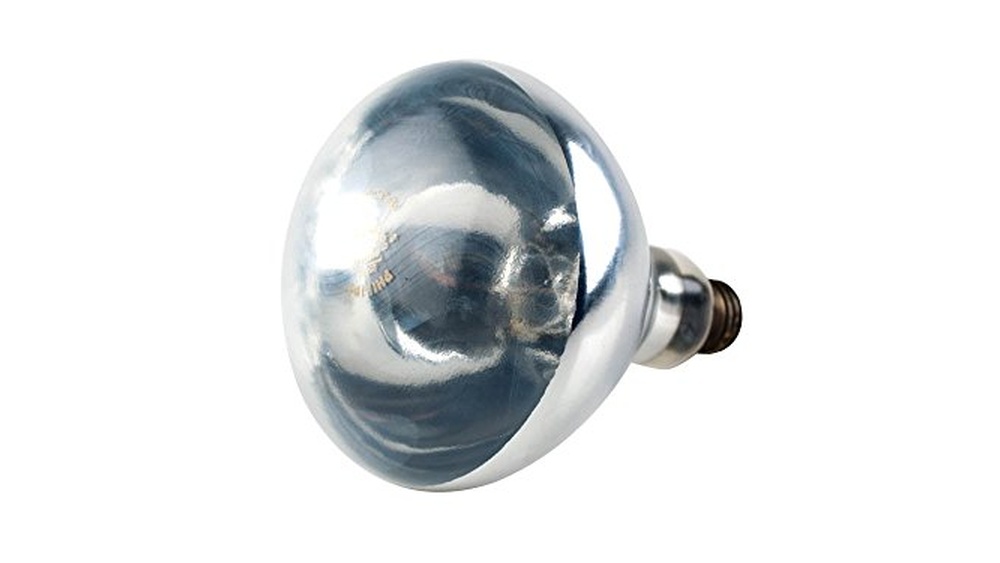 Bathroom Heat Lamp Bulb