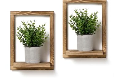 Wood Accent Walls Ideas to Elevate Any Room